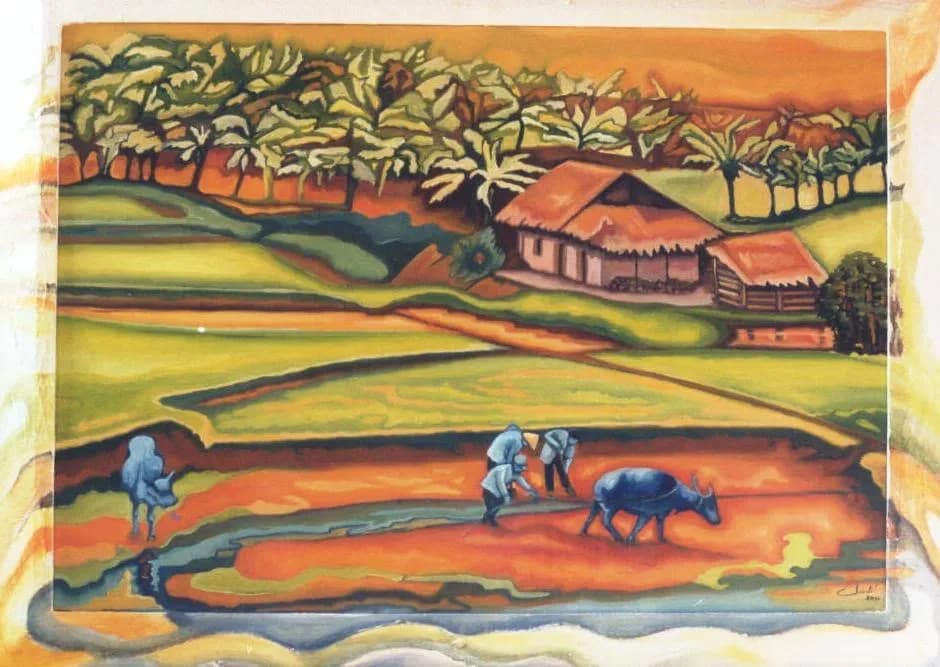 Rizières labourées avec le buffle VIETNAM