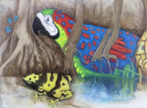 Mangrovre Aras grenouille
