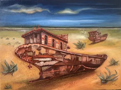 2- Ouzbekistan bateaux échoués mer d'Aral H/T